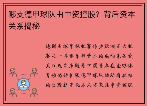 哪支德甲球队由中资控股？背后资本关系揭秘