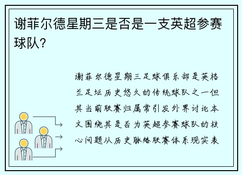 谢菲尔德星期三是否是一支英超参赛球队？